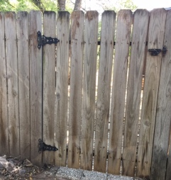Old weathered fence in our backyard.
